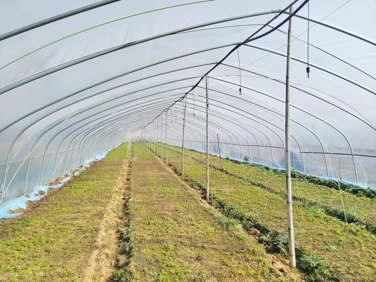 微信图片_20251124132346