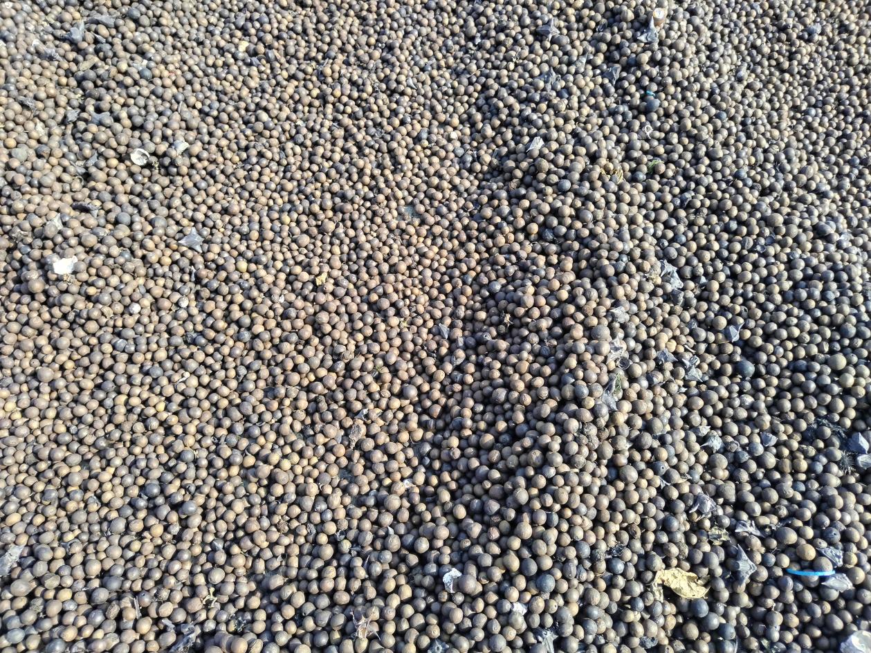 微信图片_20251124131742