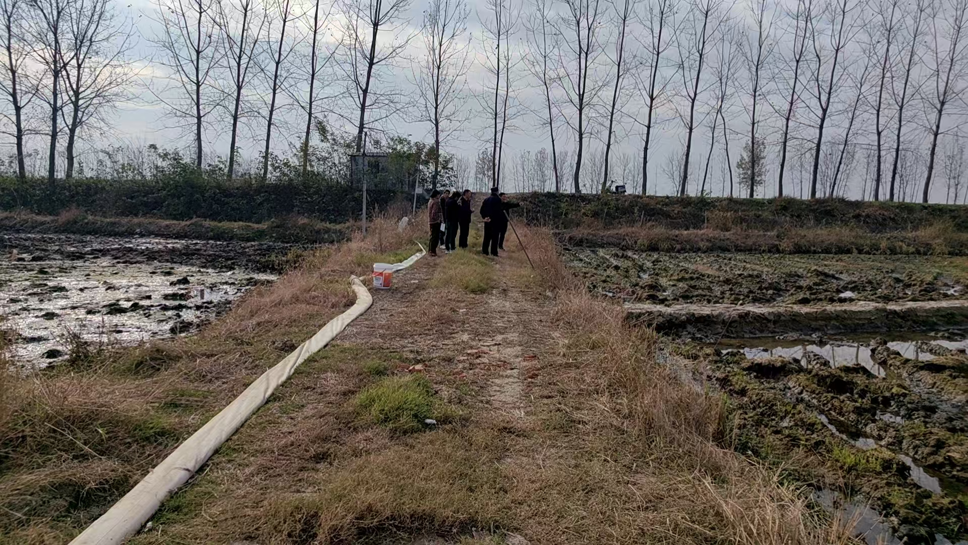 a349ce3aad5b8cff766130b396c95046