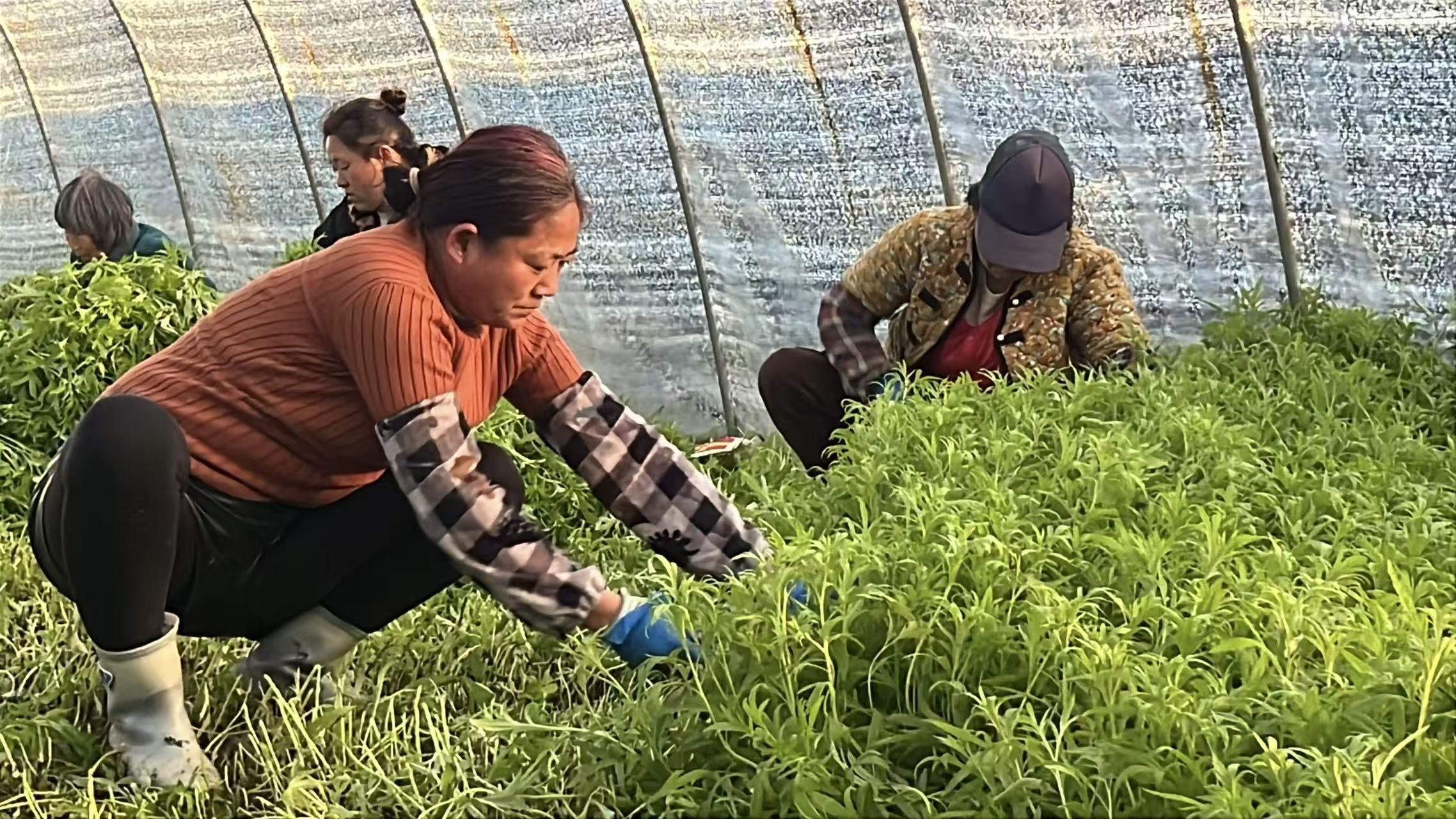 7f4b27c37266828acab2b90b717c4a8b