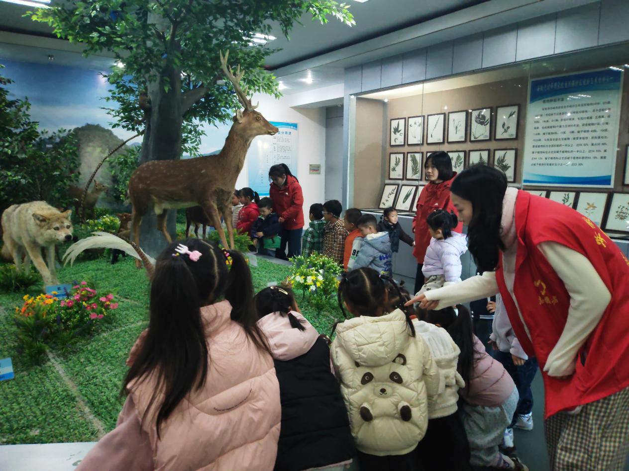 6dd04e0d1e5ebb5bd18e813661508848