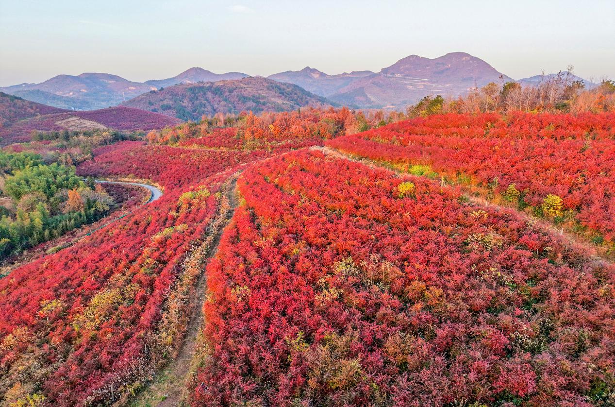 DJI_20251126165323_0085_D