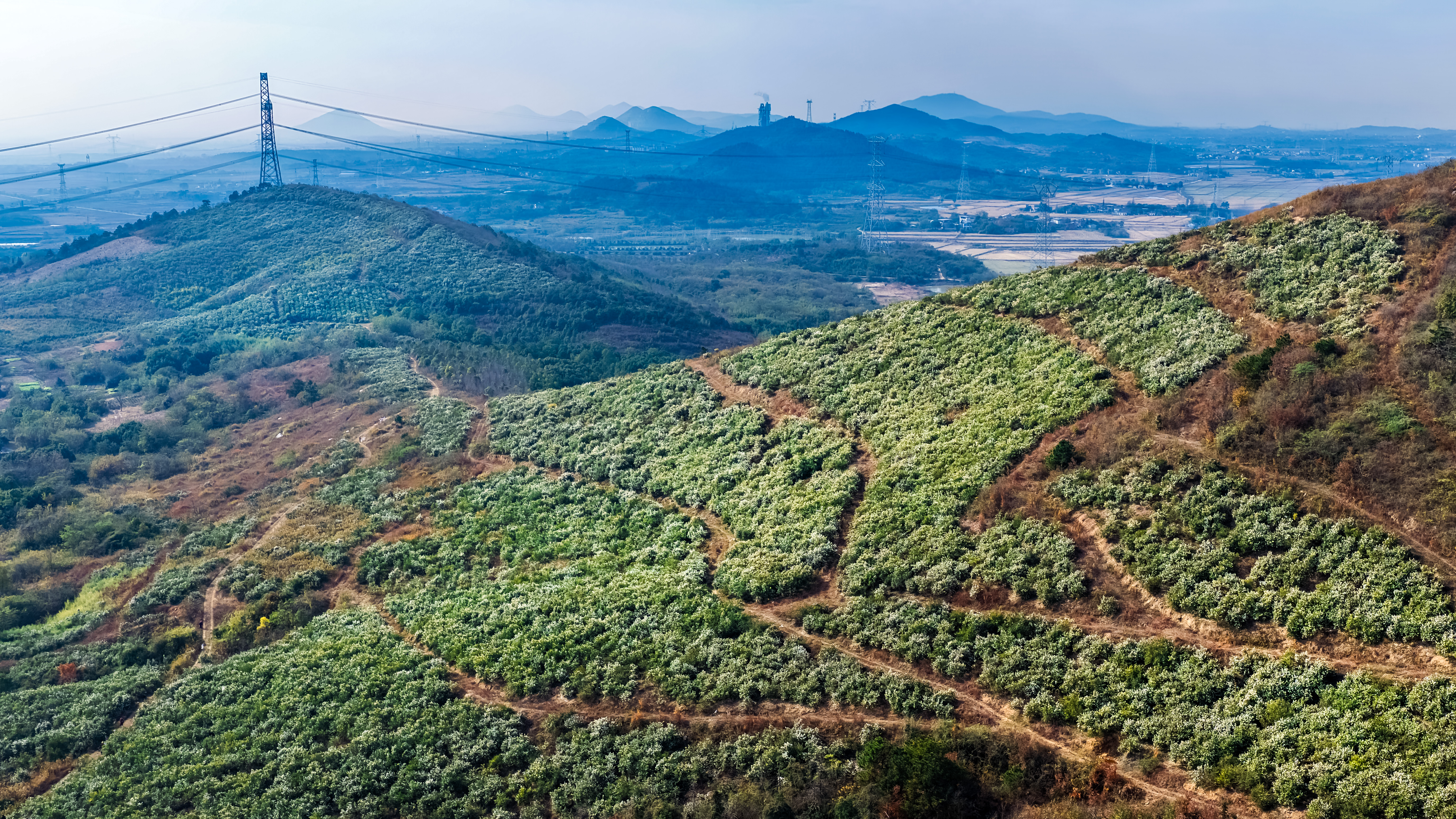 99e05814d3a0f803b1fbb2257cf2c34c