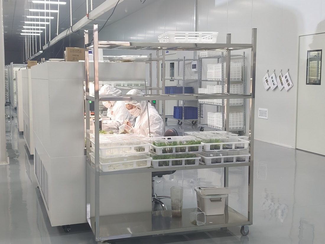 微信图片_20251202111719_976_13