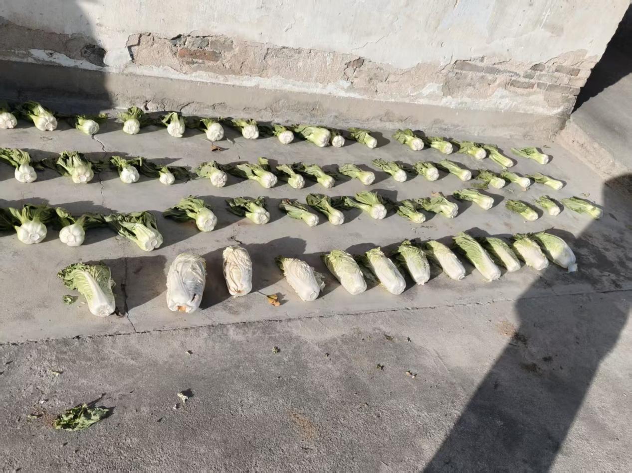 75450c5c7cfd8cbf134249e3b1d04bb8