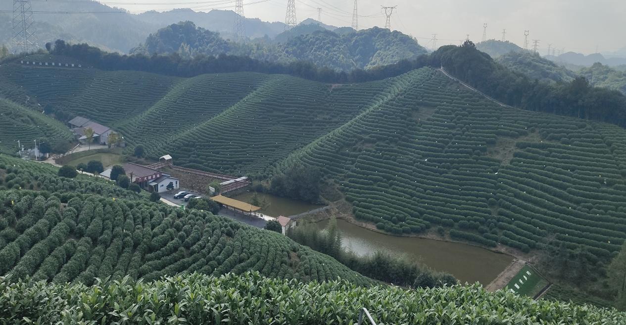 微信图片_20251113165633_233_78