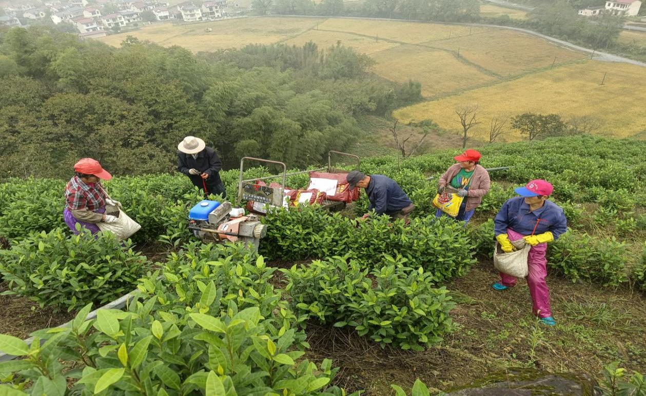 微信图片_20251027080631_295_96