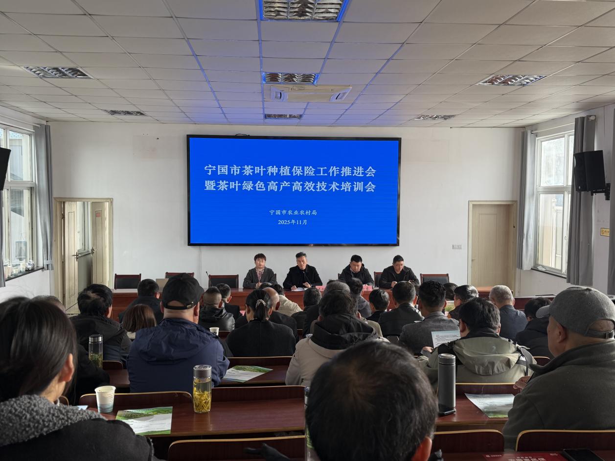 mmexport1764235534695