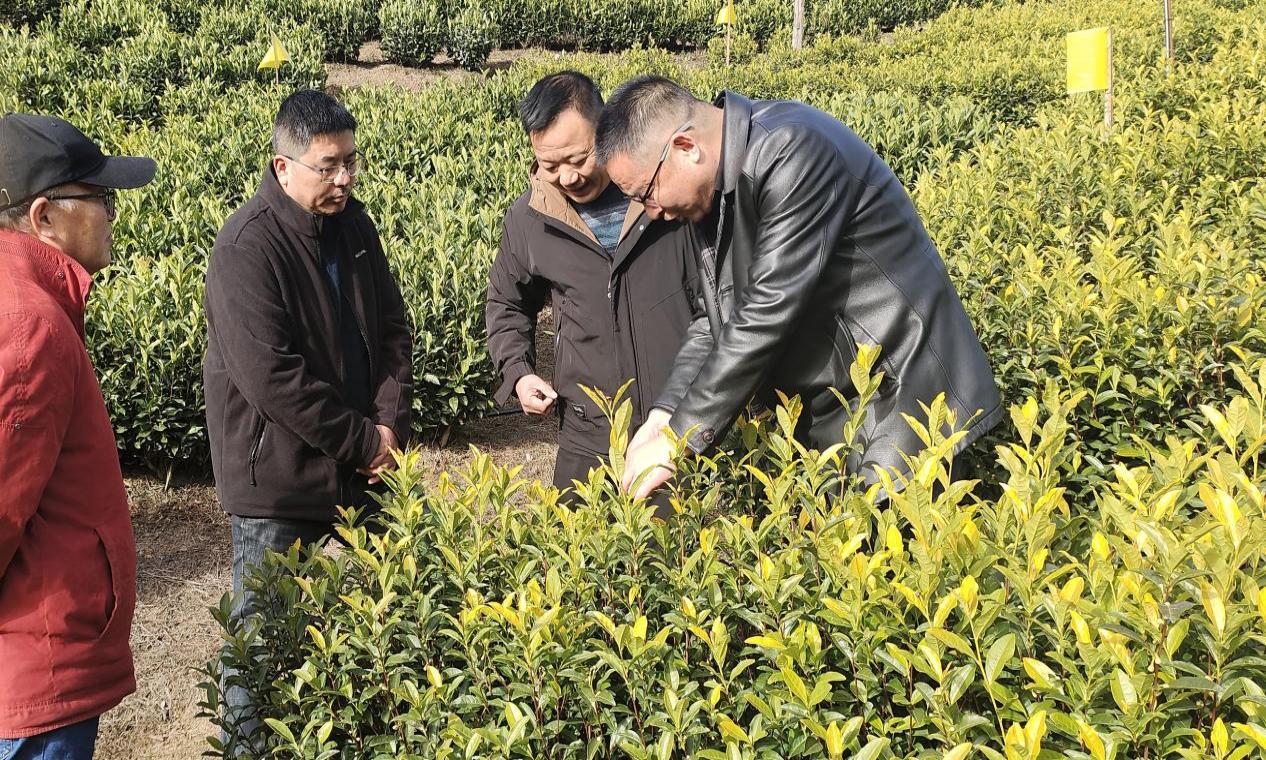 1b2923f1e4e12370c224afde905e375c