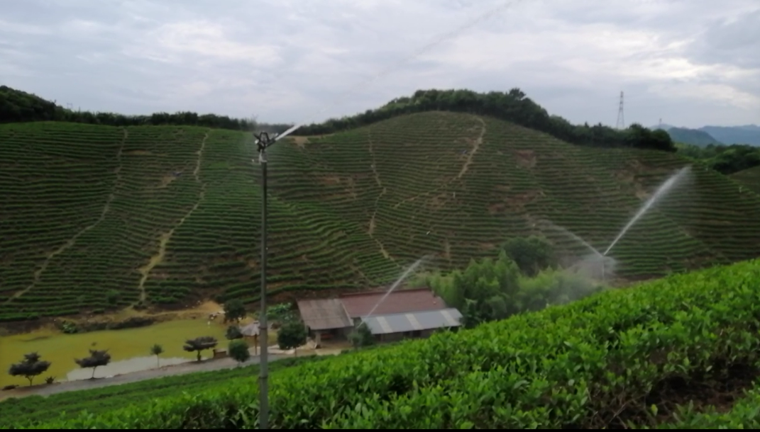 4f953a74-c548-4448-aa30-0428844bf7ef