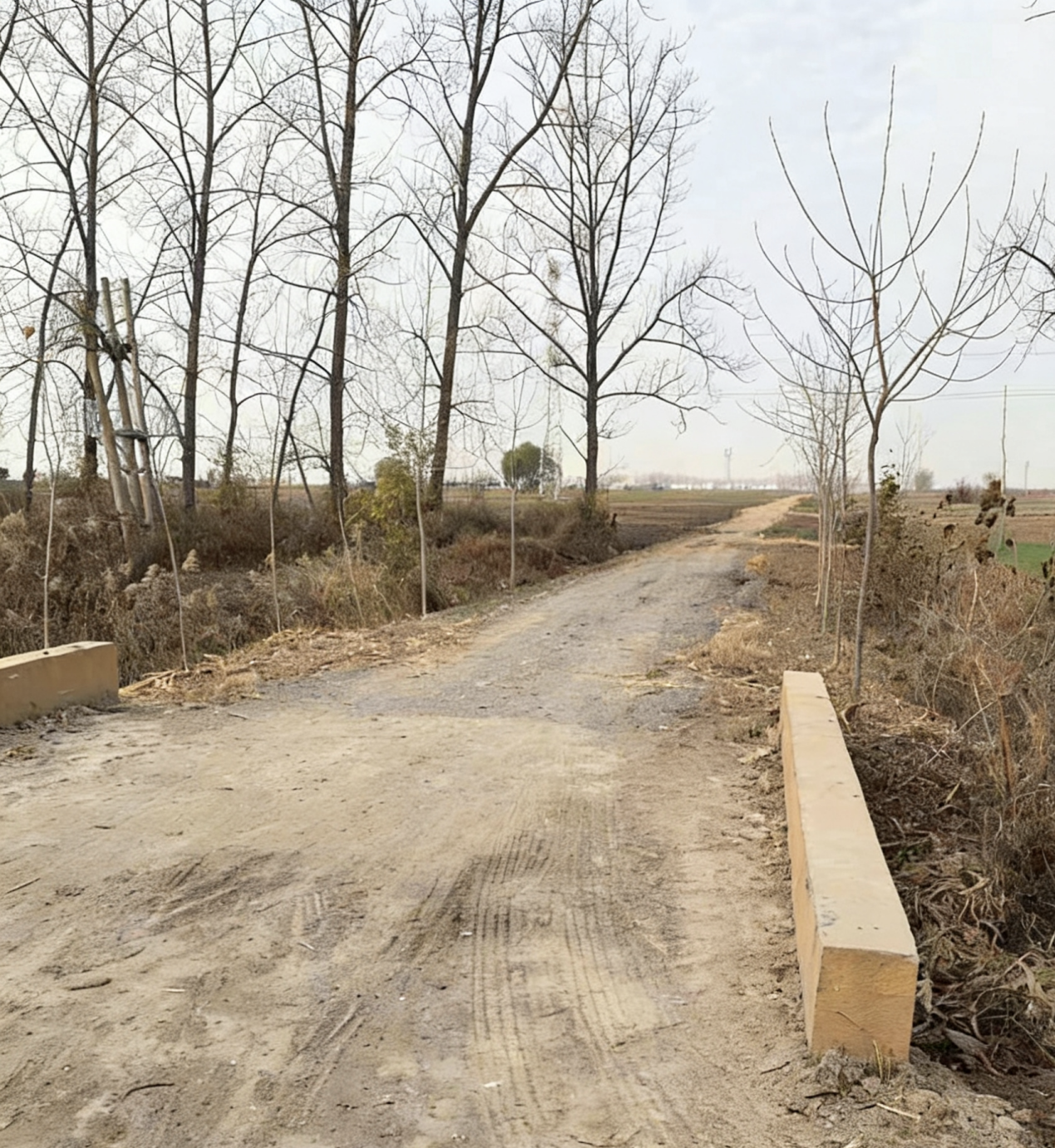 9c2d9b28f10203e647cba15c770275b1