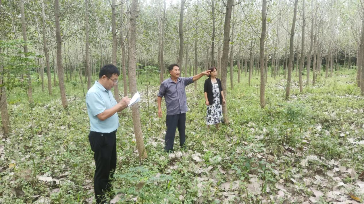 e1853c668b30e773e5739752a085e89