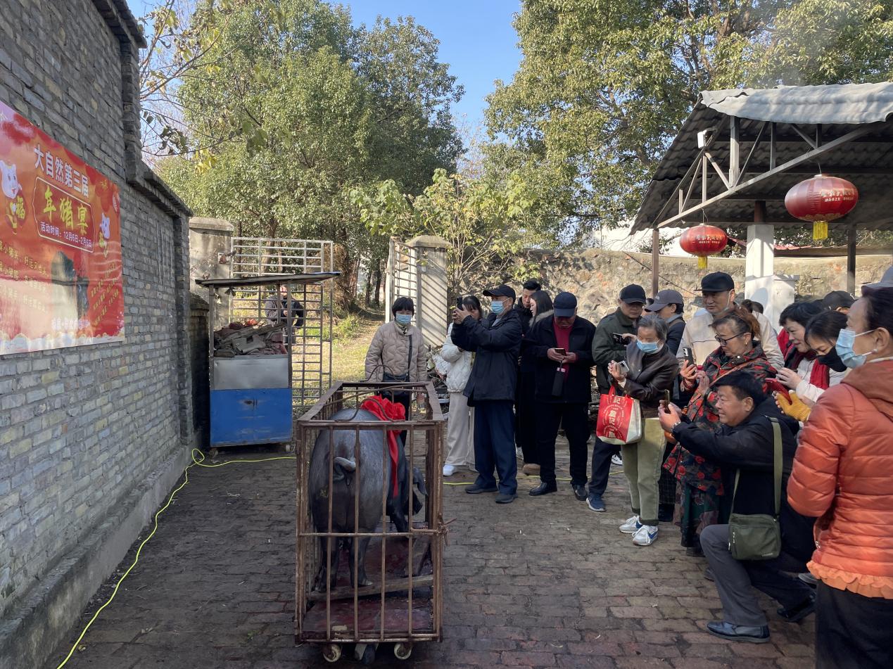 微信图片_20251208082538_453_211