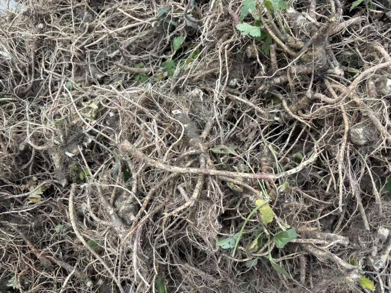 825cf366920dd52b8730c0bd6d6b342a