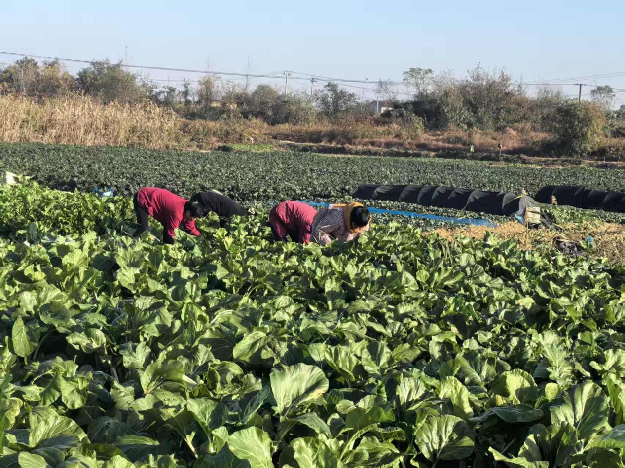 e2a5bb8d567cbf5fd973e654402590f5