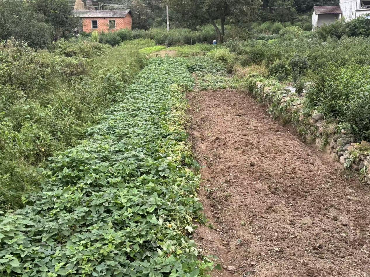 fdafe7f6ec5b2ba2da00e7c90ecf0b43