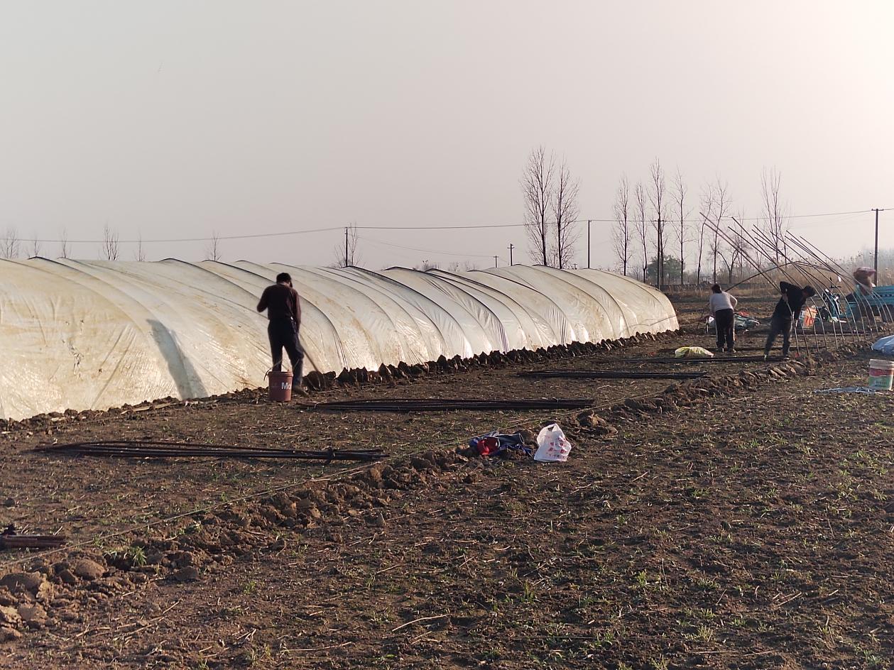 微信图片_20251216172843