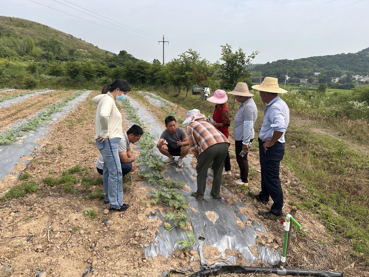 d309ae9ae5001a4c9d952c2e959e153