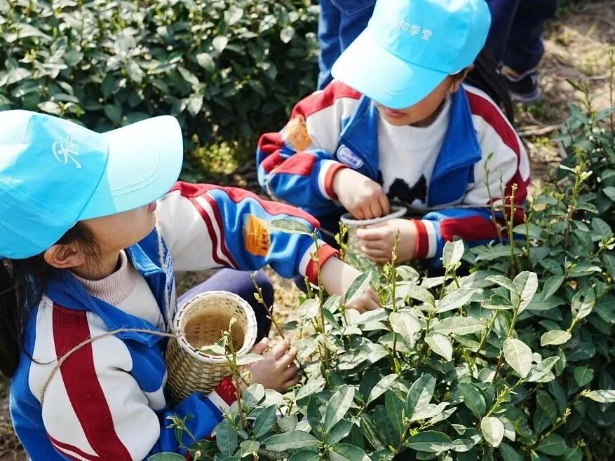 “研”值拉满，汤池镇竞速文旅新赛道