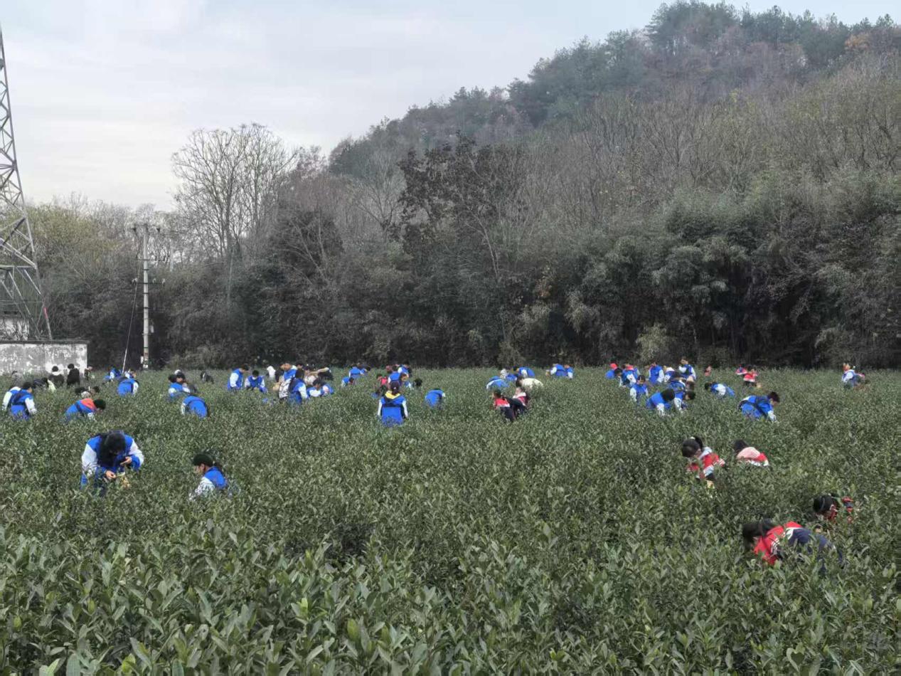 3d0e32642899882286b4f76dfafc4d07