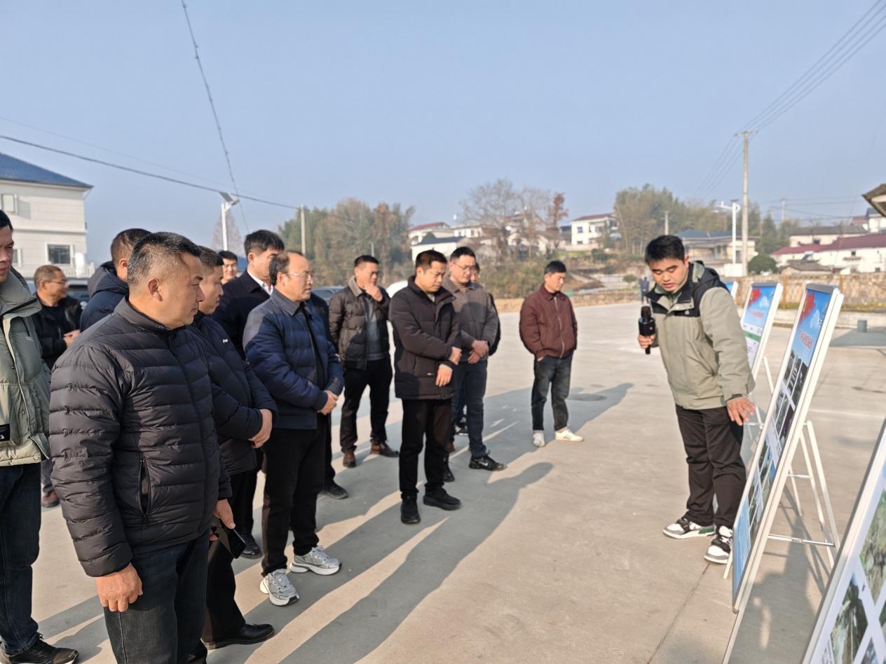 e3606717d33e4c854d41b52152cacea