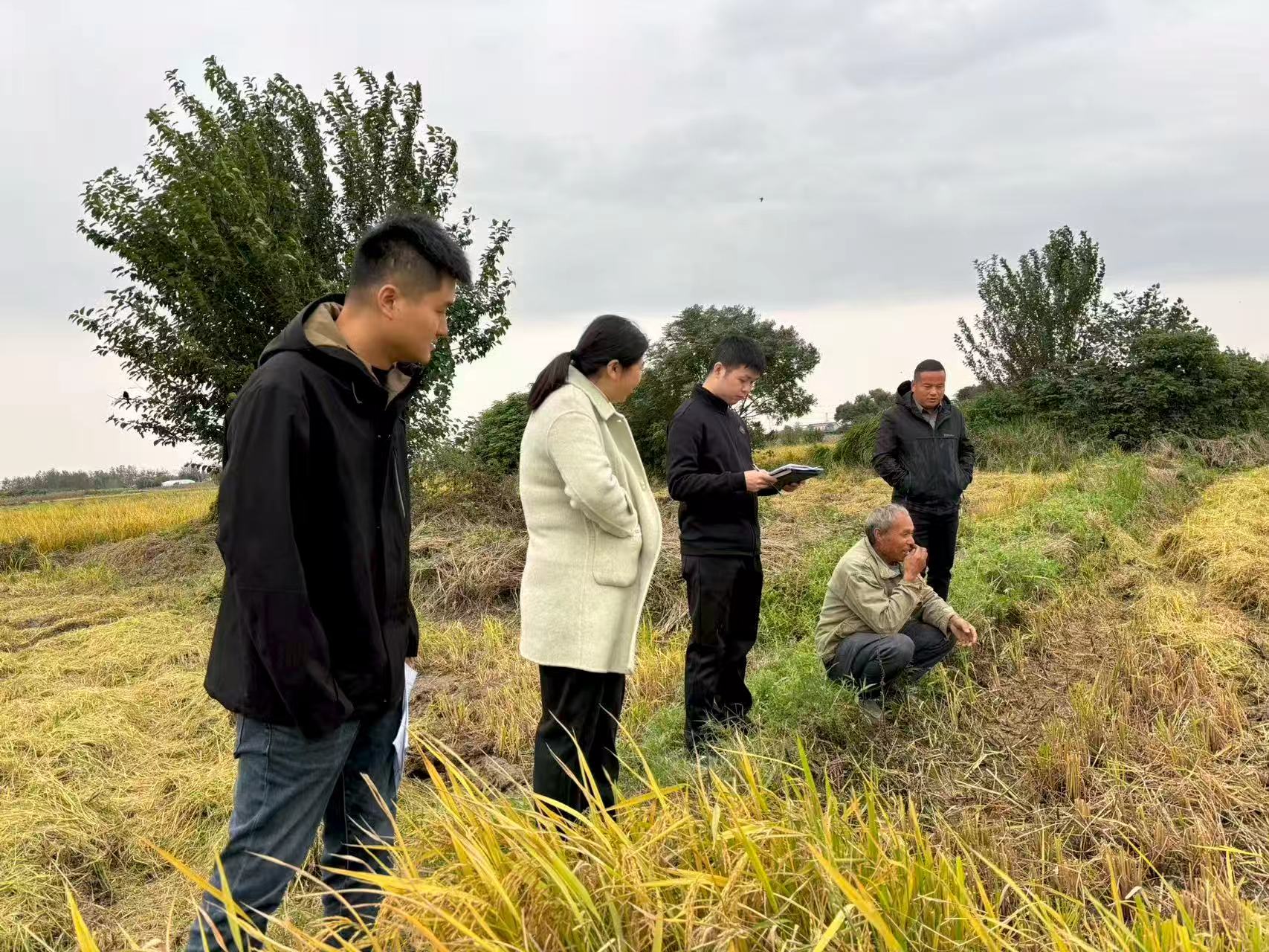 76da35186b96fd288ce139f2642c8b37