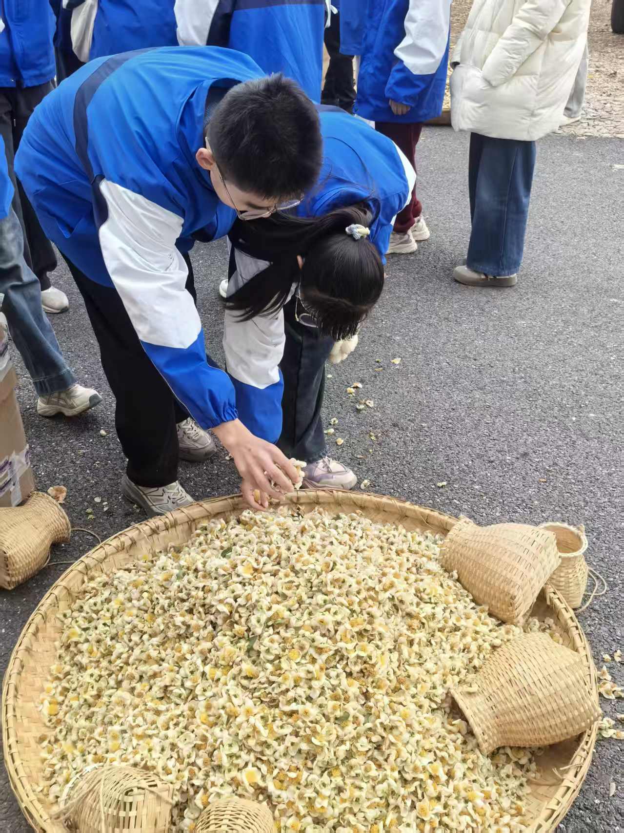 70f4179c7c61a5f4793ae044f96a1b4f