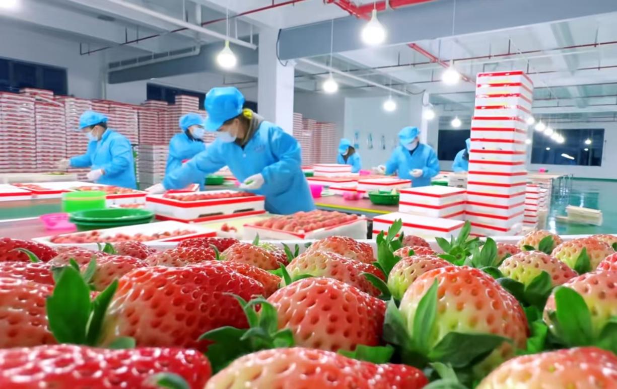 微信图片_20250103095441