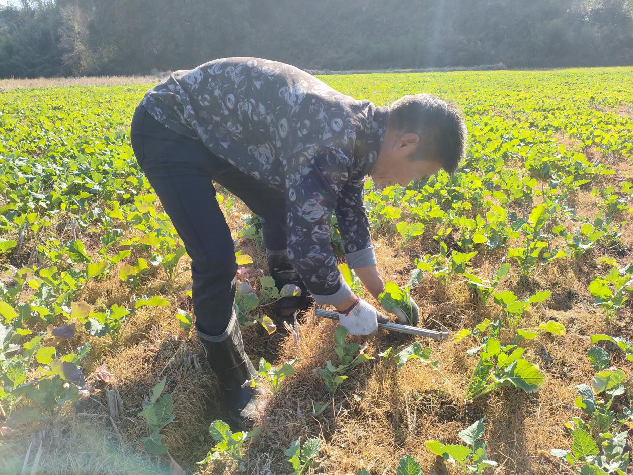 f497fef12c09ecc8c5204e27ff88687e