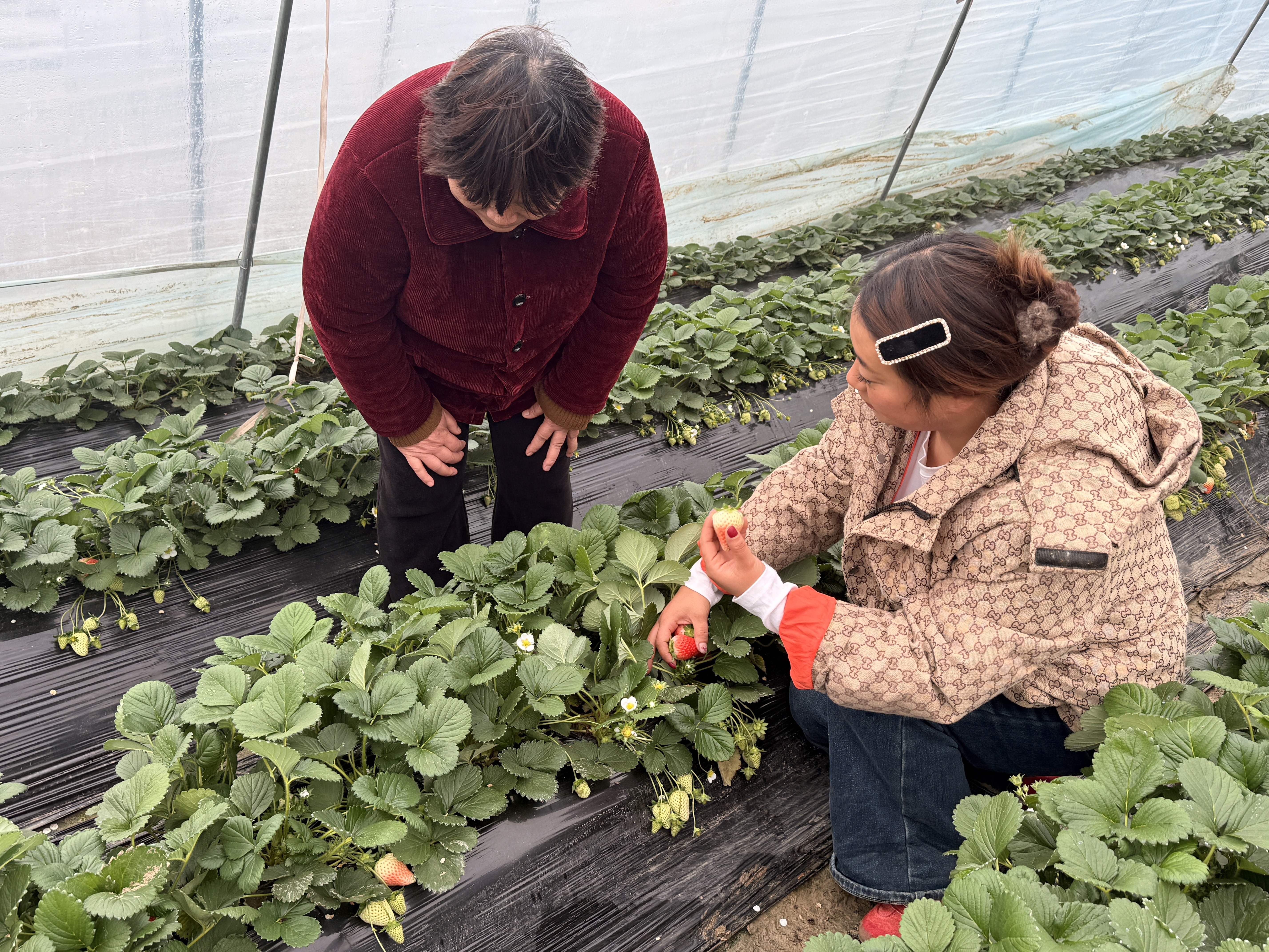 417505eb5533b0213587033453ab63fa