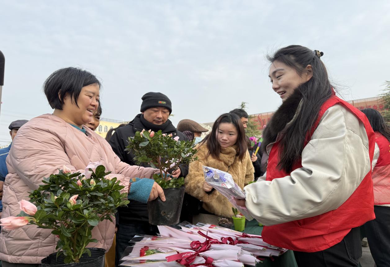 737a818f2a1b6a24cd2a1640a72961c3