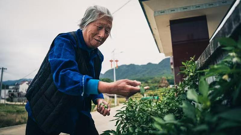微信图片_20250430085912.jpg