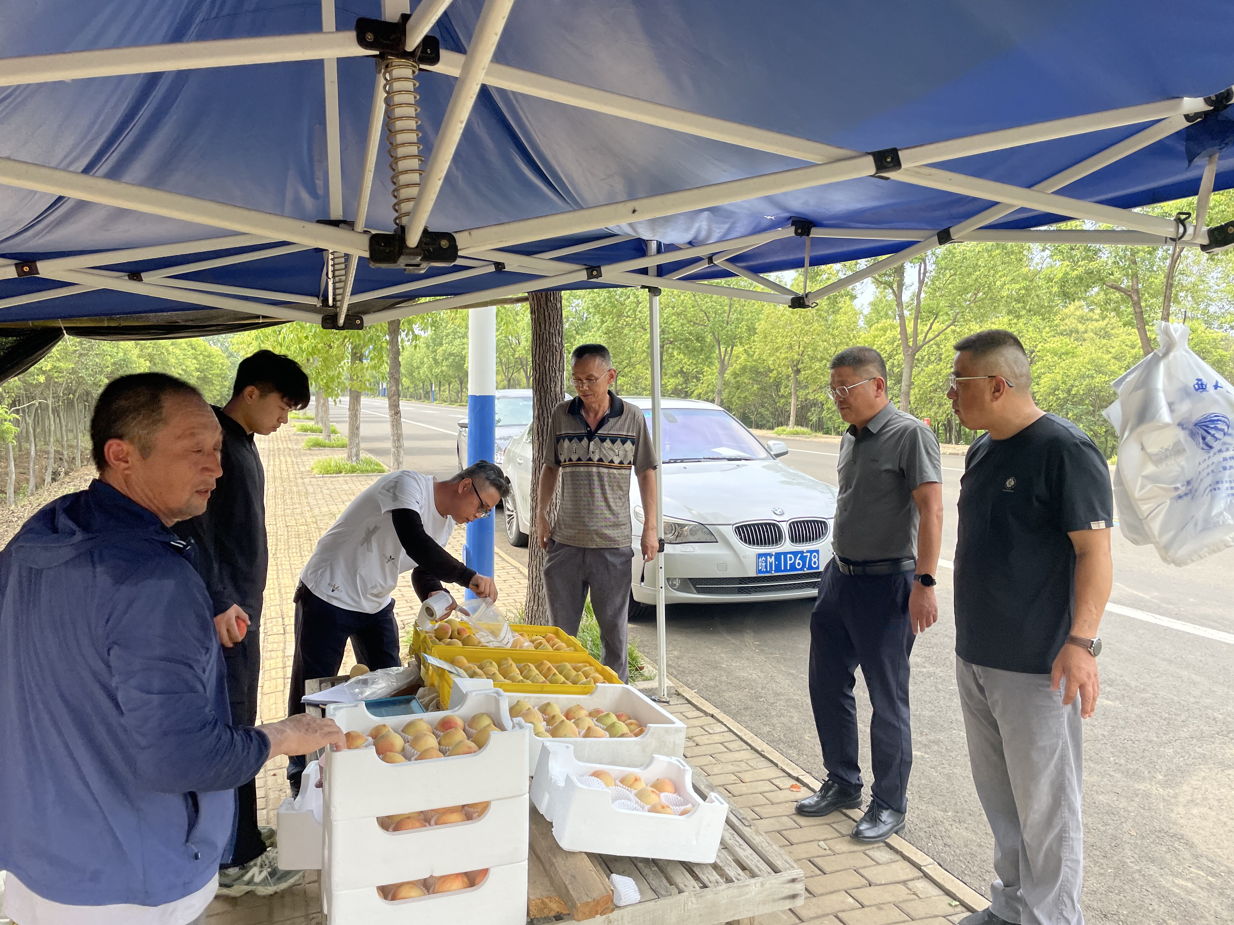 吉文林到农户家指导水蜜桃储存方式.jpg