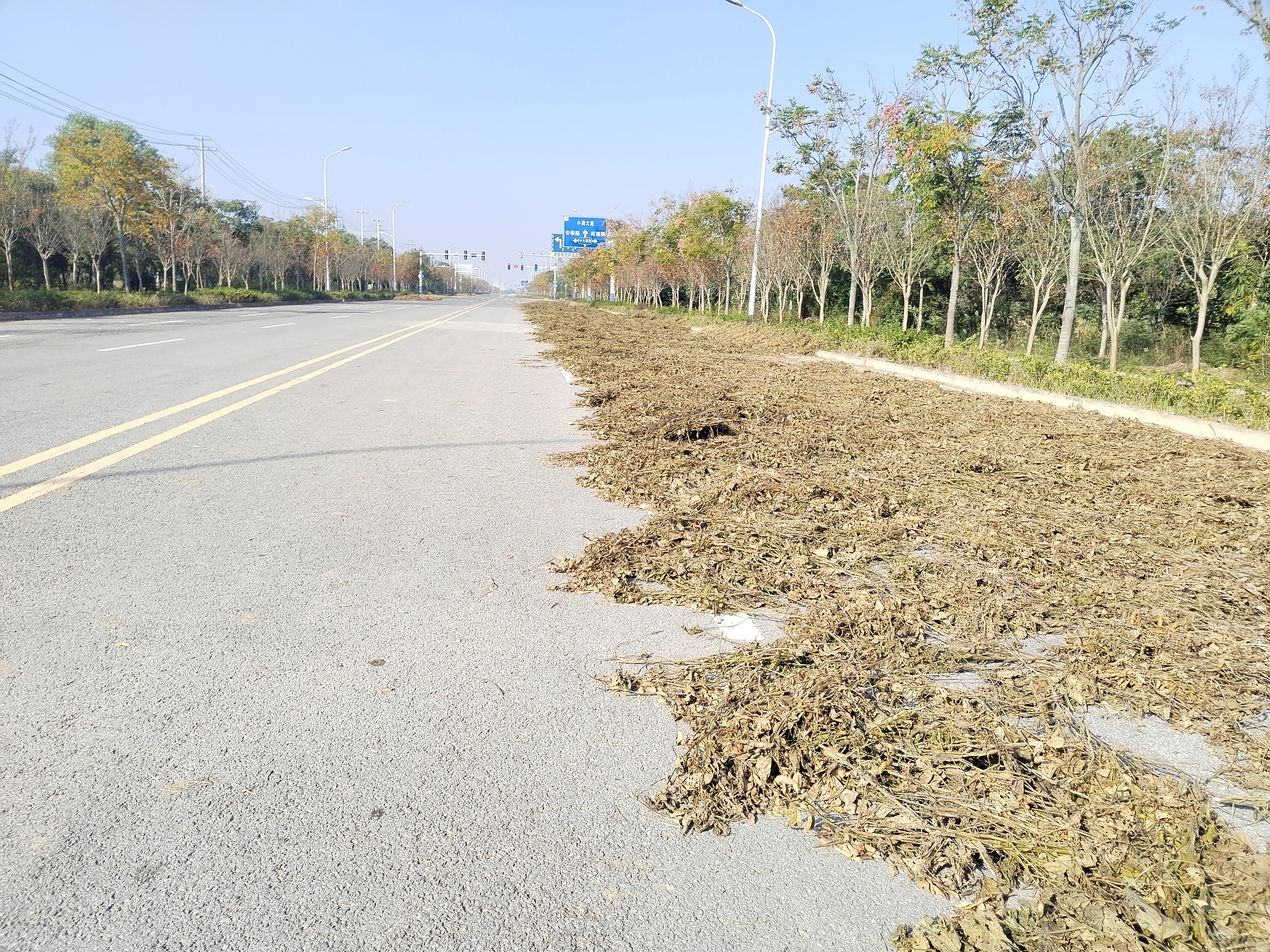 微信图片_20251106090207.jpg 微信图片_20251106090207.jpg