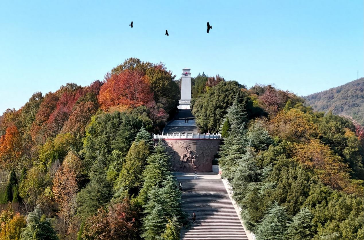 金寨：层林尽染别样红