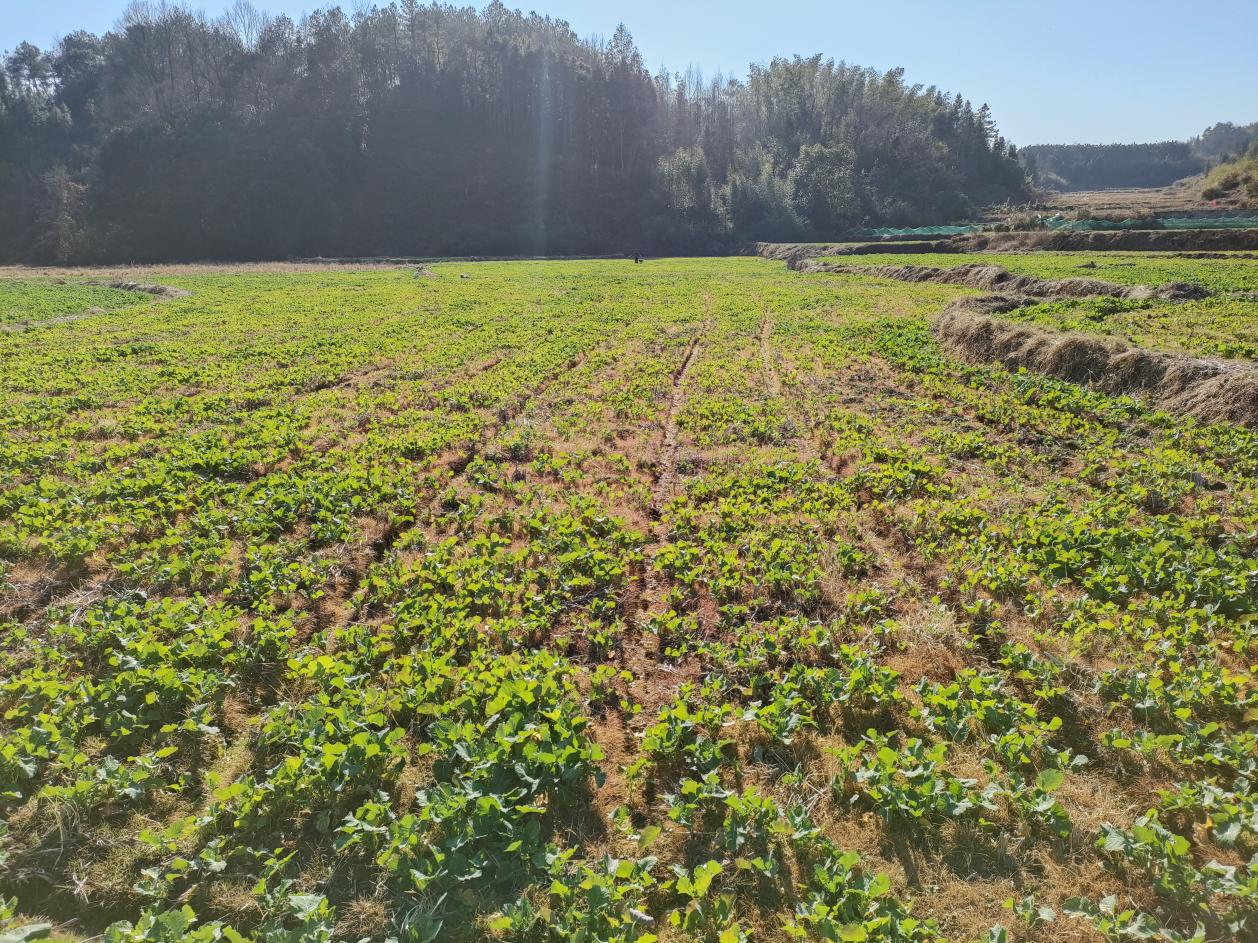 9349f94a77bb6c8c7d407026009e62b8