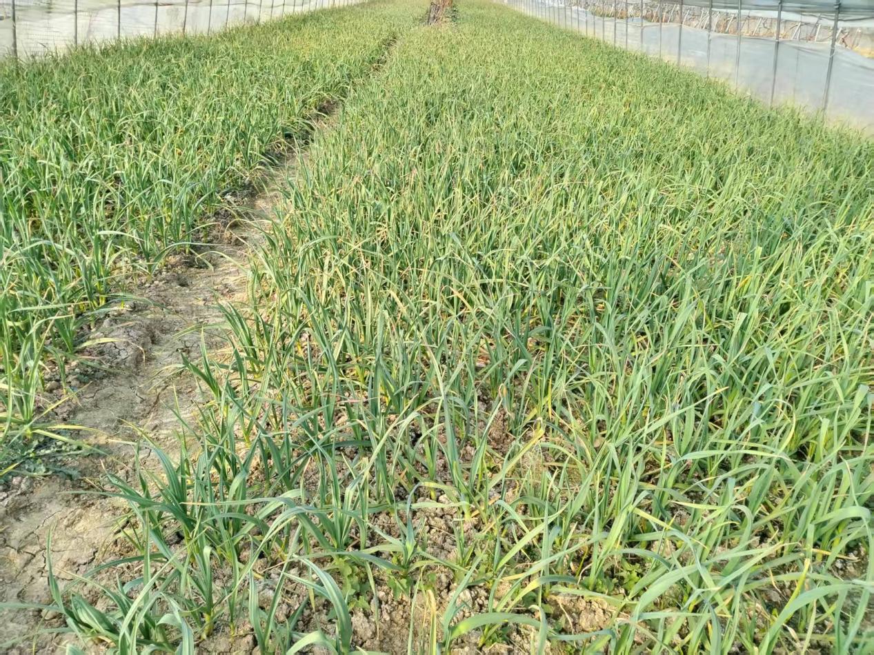 微信图片_20260107113755