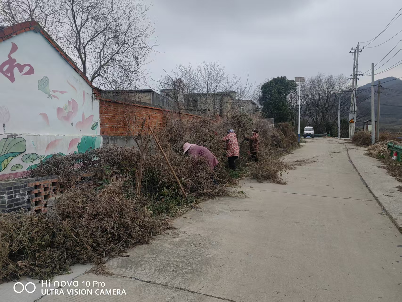 af2481f069cfb357f5ab72267d663828