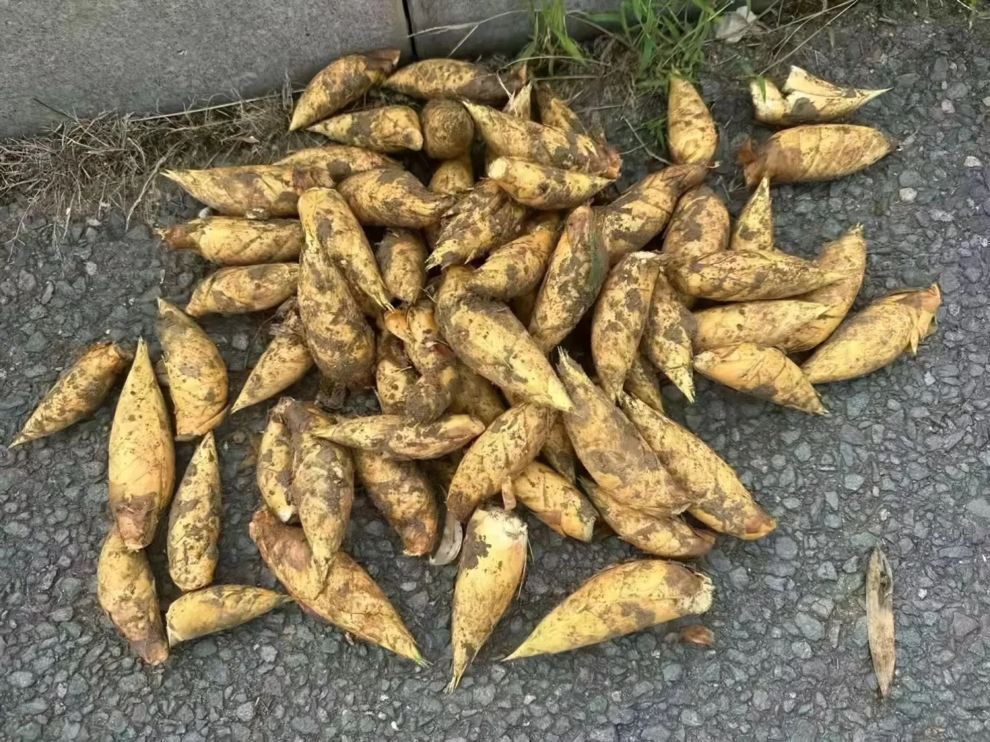 cdf28522c187c4df0fe0770fe5458e10