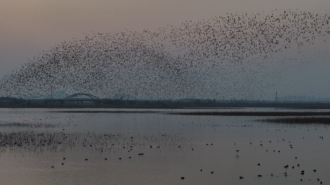 7d24a33ea33bafc2a1dcdaf967e9fd5f