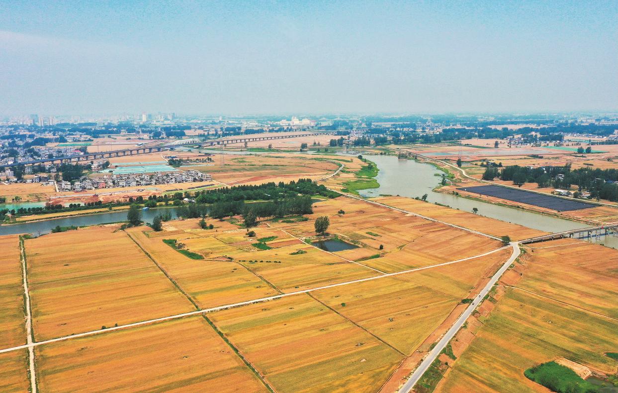 A777BF677A19008ABFE925F7D6E1C96E