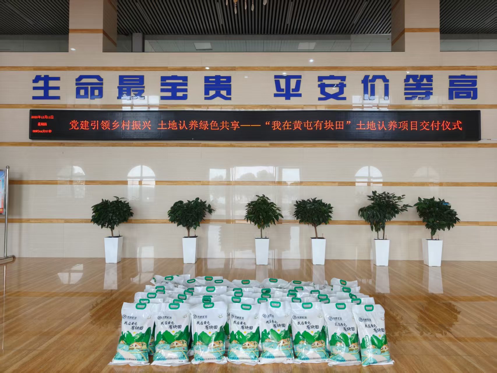 07a31903b155c152c3b8bb4583412e25