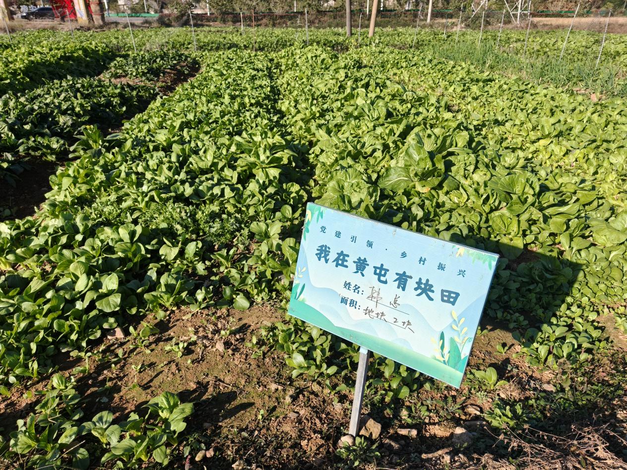 447970e08be611d487df6f96f183c377