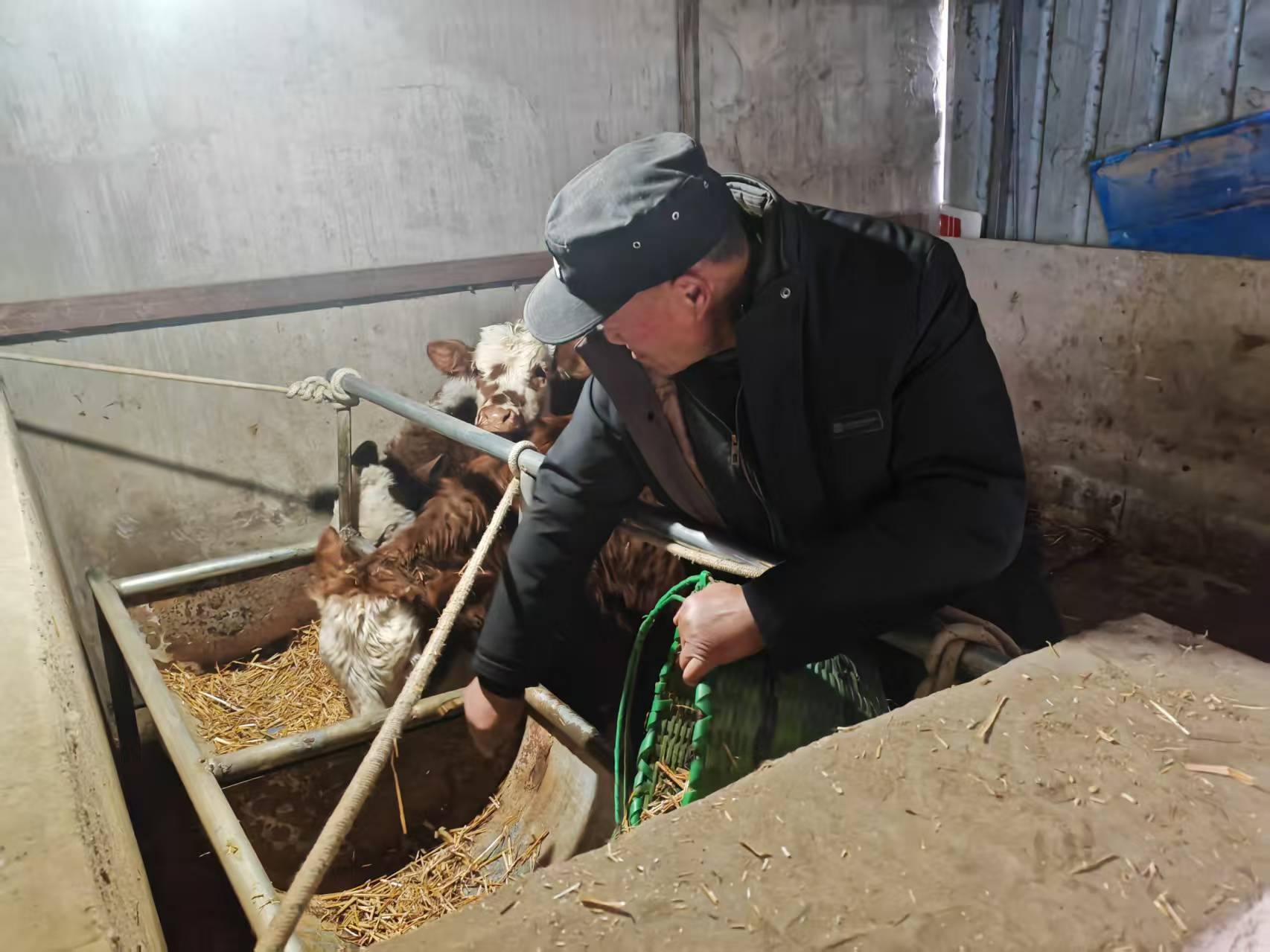 9c53f7f7176a7d5ef8f034c12d644943