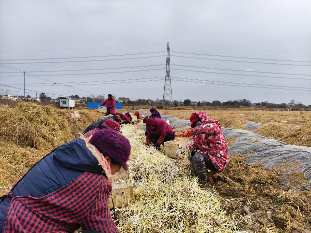 c1e1d183b81ce9485e41da8d7d29f92d