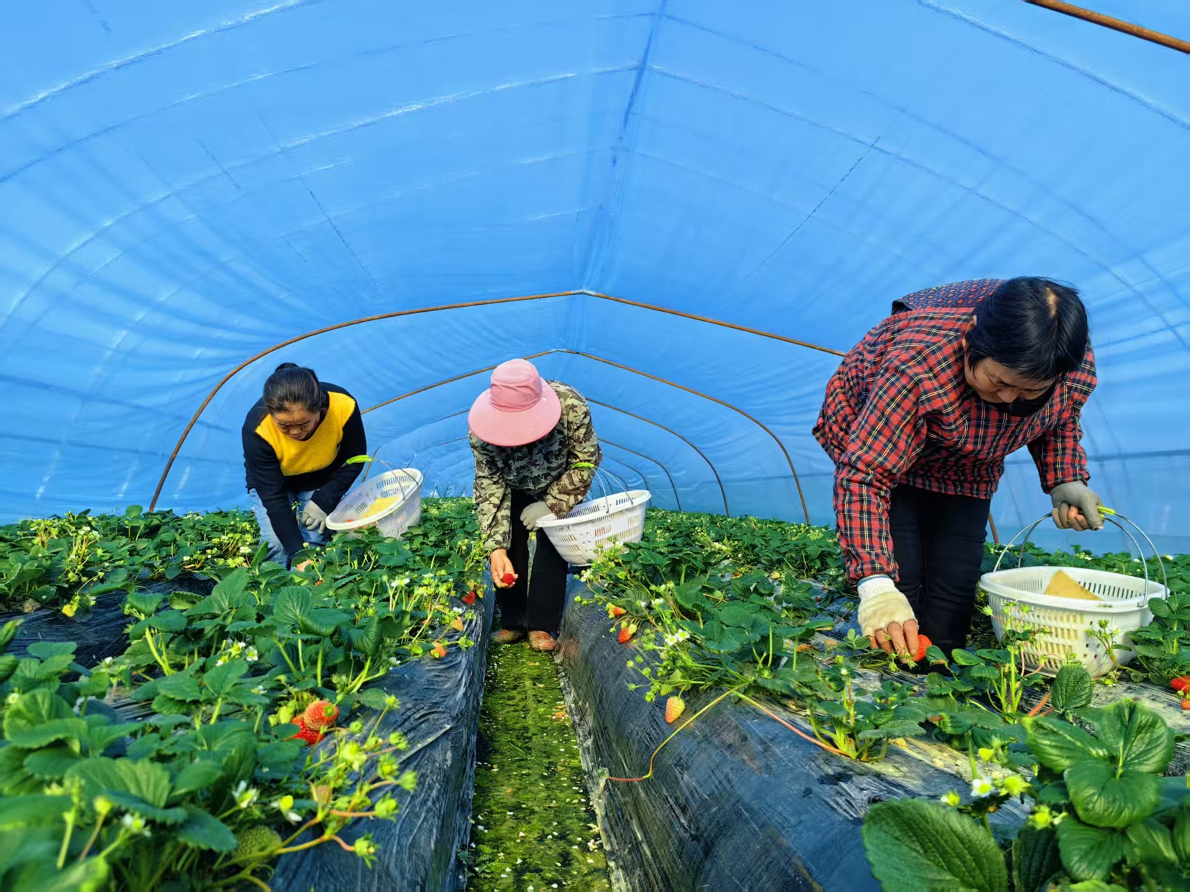 2809ec4ff6fc1921c4a90a661ac92208