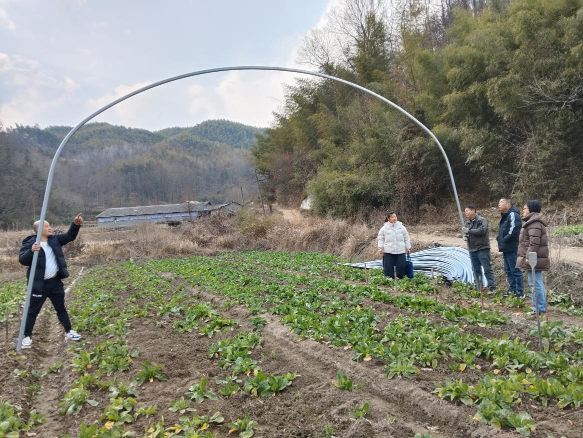 7e10ed16813336a3ca5ef3bb0534ef06