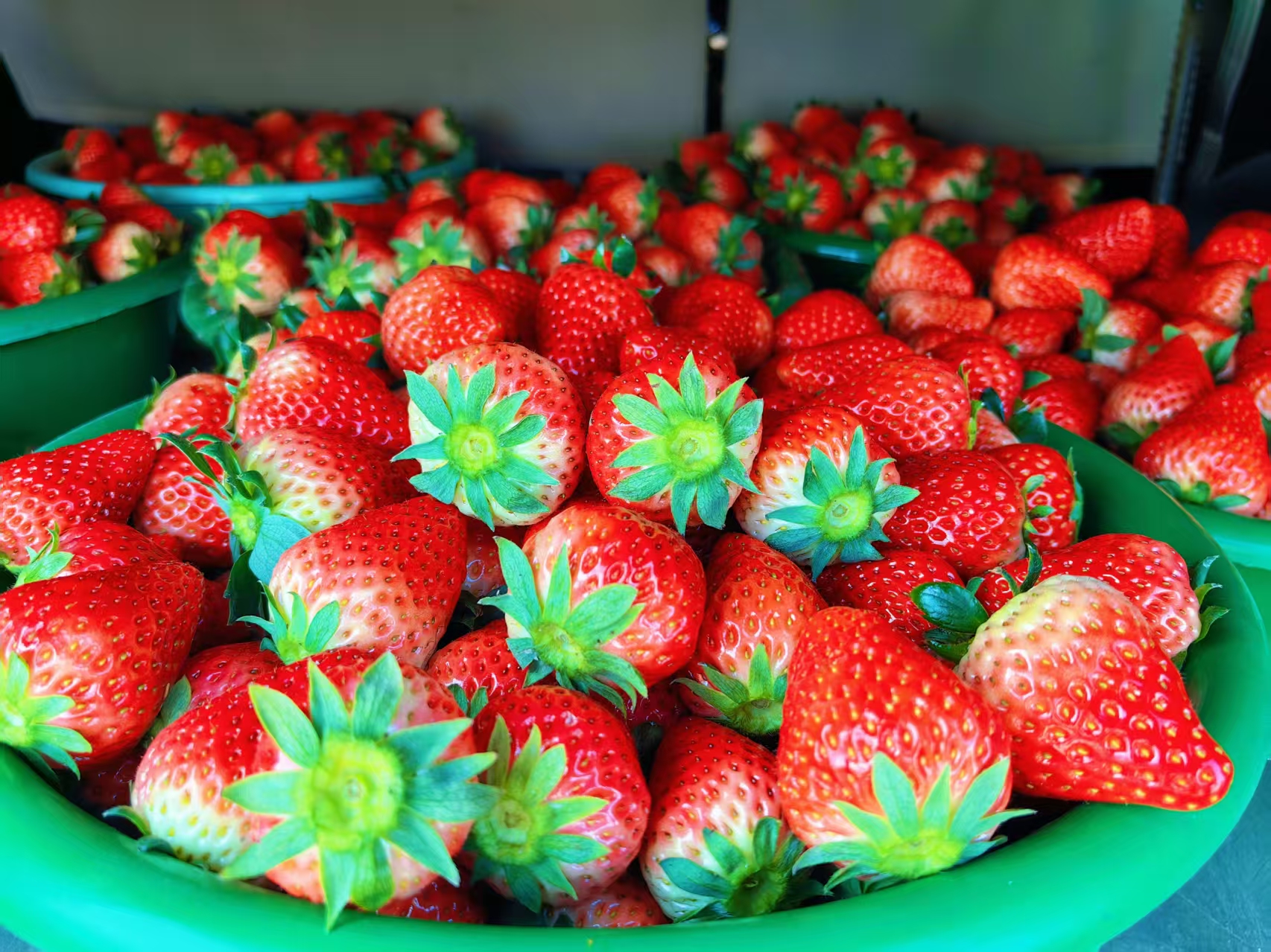 b62165c19d875c822449c0f860df375e