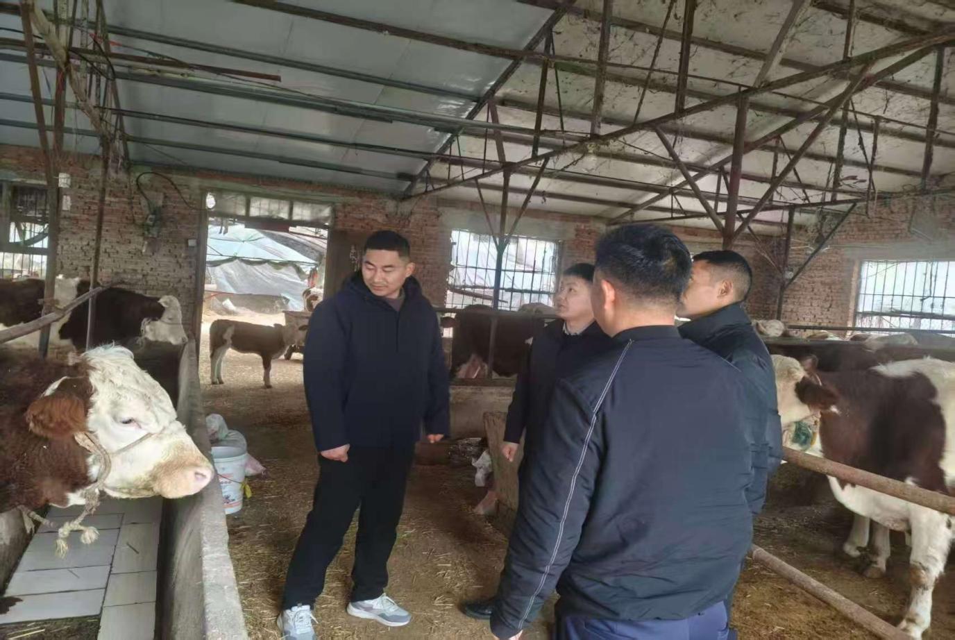 e2067fe5c05f109766a47a304da8d5b0