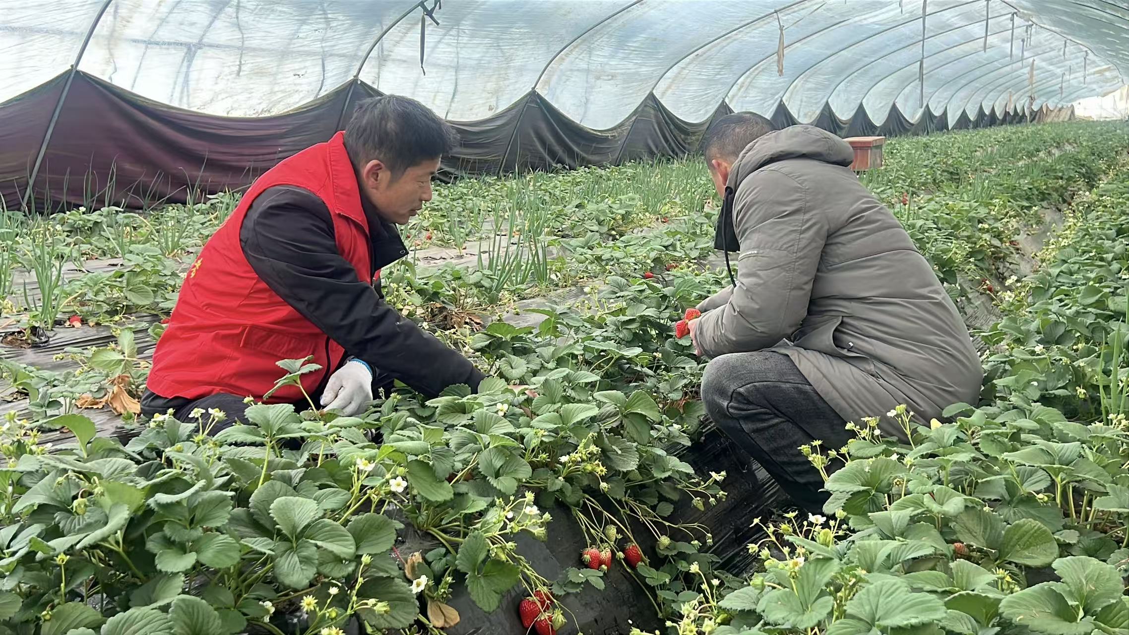 37d6bb3ad65a47b642e3f562a16a98f5